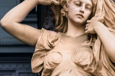 pexels-simon-berger-2193186